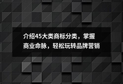 介绍45大类商标分类，掌握商业命脉，轻松玩转品牌营销