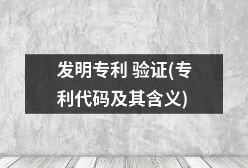 发明专利 验证(专利代码及其含义)