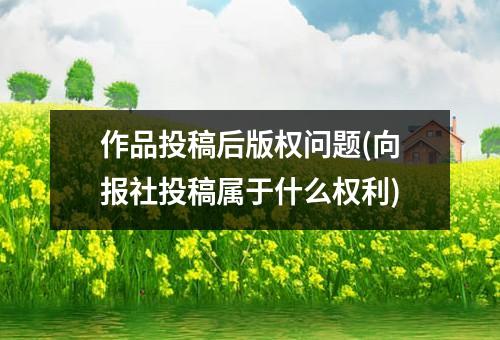 作品投稿后版权问题(向报社投稿属于什么权利)